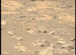 View image taken on Mars, Mars Perseverance Sol 1562: Left Mastcam-Z Camera