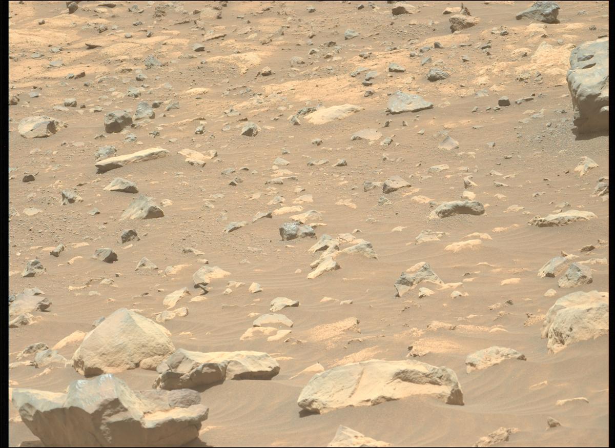 This image was taken by MCZ_LEFT onboard NASA's Mars rover Perseverance on Sol 1562