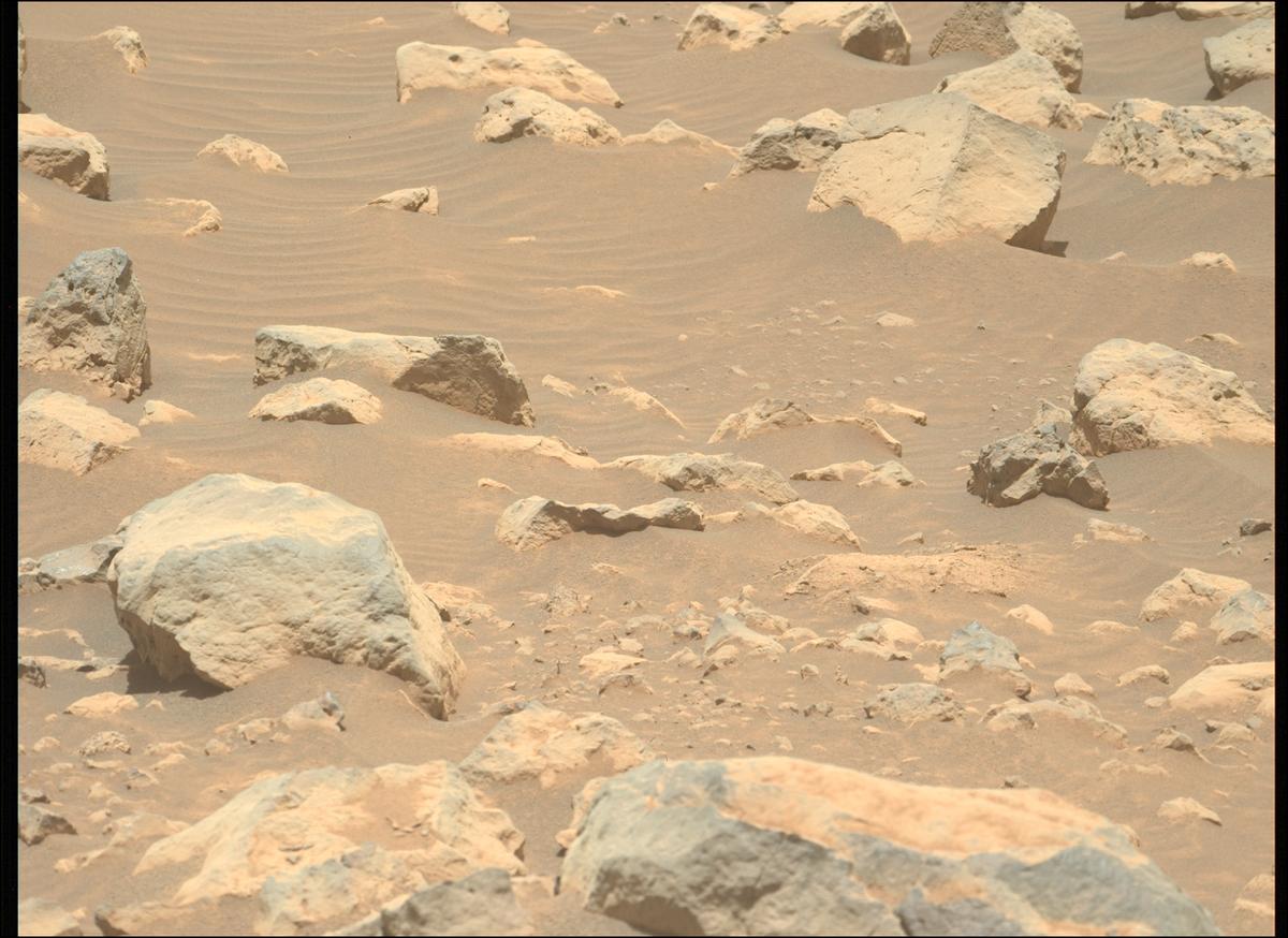 This image was taken by MCZ_LEFT onboard NASA's Mars rover Perseverance on Sol 1562
