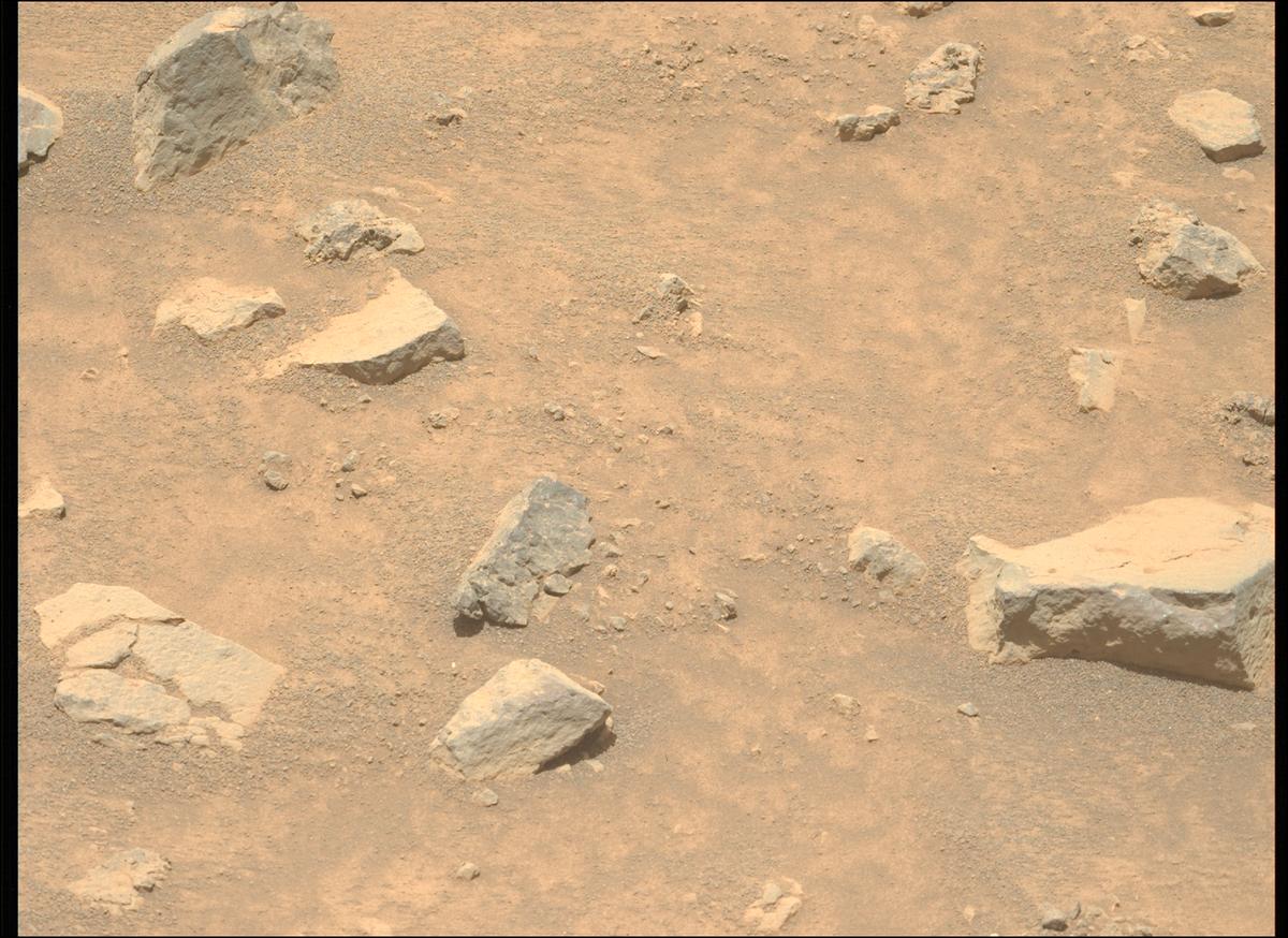 This image was taken by MCZ_LEFT onboard NASA's Mars rover Perseverance on Sol 1562