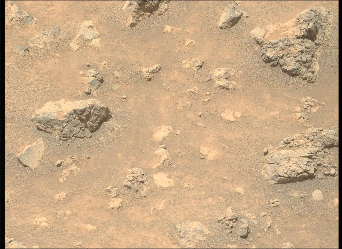This image was taken by MCZ_LEFT onboard NASA's Mars rover Perseverance on Sol 1562