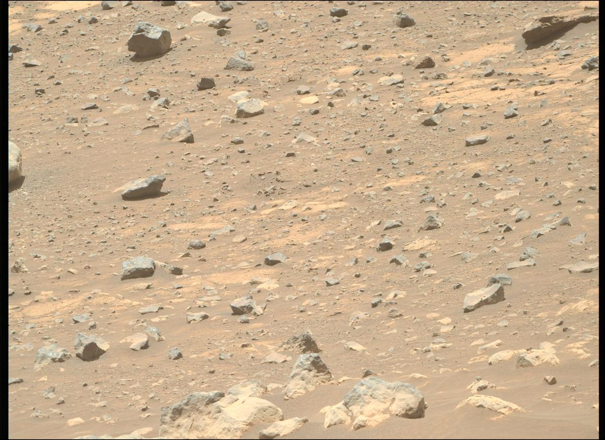 This image was taken by MCZ_RIGHT onboard NASA's Mars rover Perseverance on Sol 1562