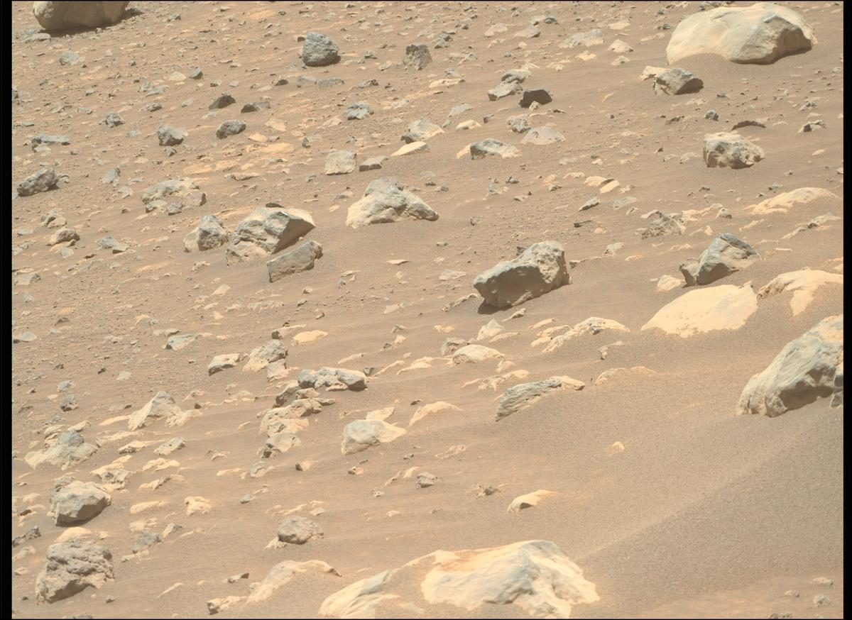 This image was taken by MCZ_RIGHT onboard NASA's Mars rover Perseverance on Sol 1562