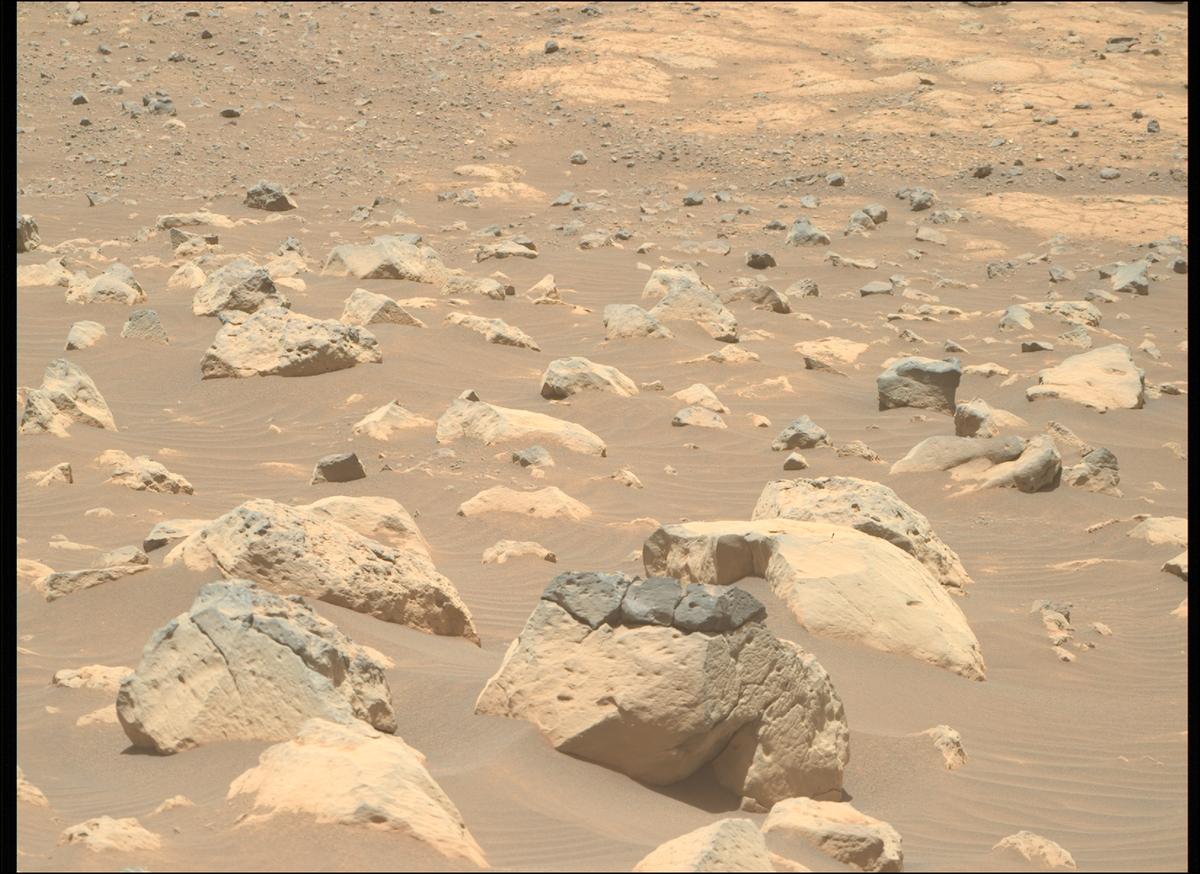 This image was taken by MCZ_RIGHT onboard NASA's Mars rover Perseverance on Sol 1562