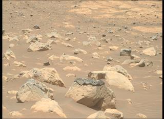View image taken on Mars, Mars Perseverance Sol 1562: Right Mastcam-Z Camera