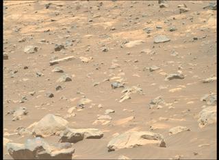 View image taken on Mars, Mars Perseverance Sol 1562: Right Mastcam-Z Camera