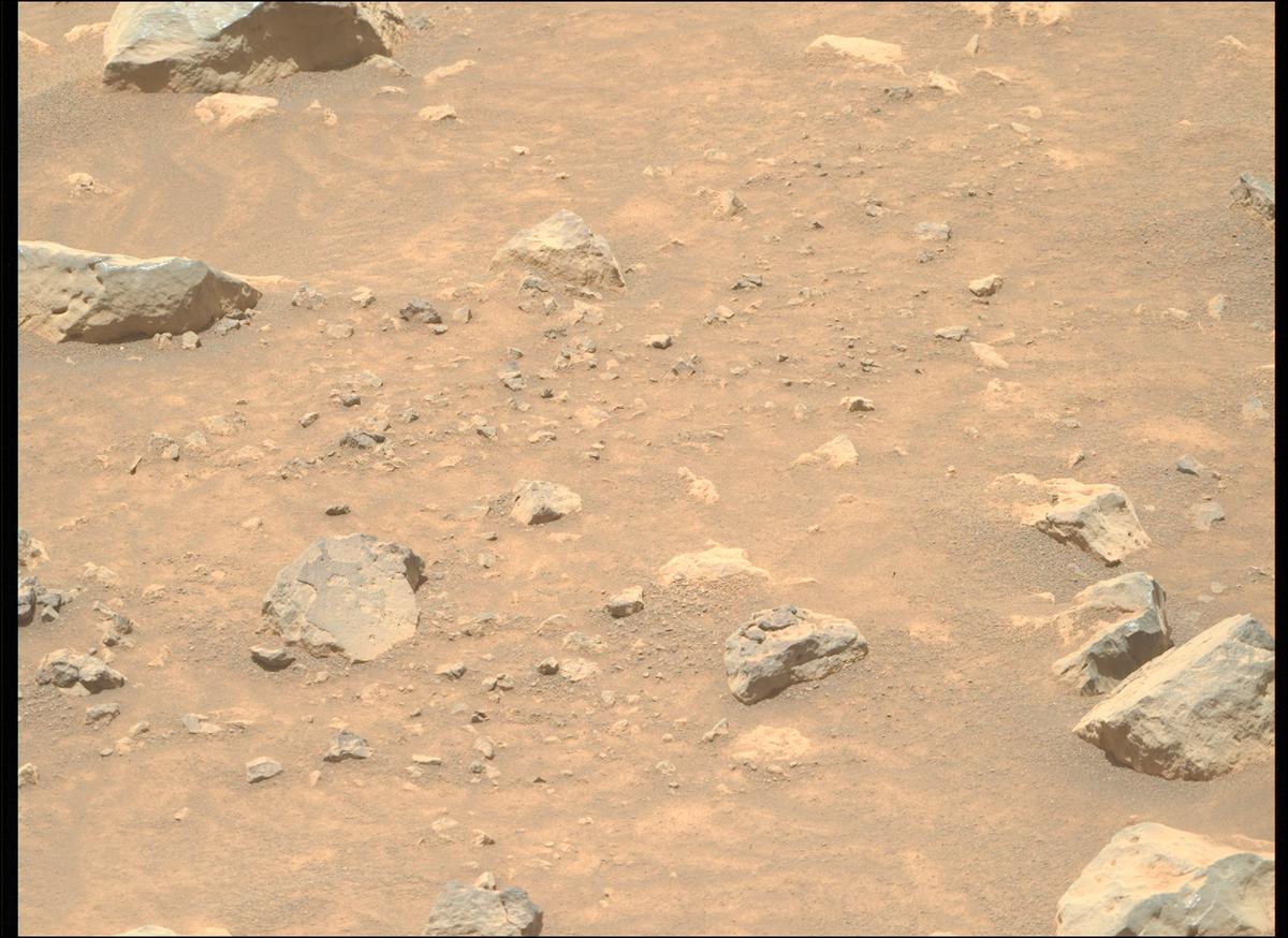 This image was taken by MCZ_RIGHT onboard NASA's Mars rover Perseverance on Sol 1562