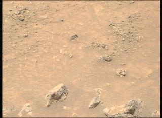 View image taken on Mars, Mars Perseverance Sol 1562: Right Mastcam-Z Camera
