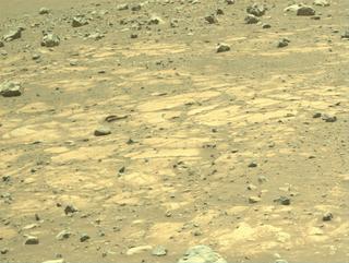 View image taken on Mars, Mars Perseverance Sol 1563: Right Navigation Camera (Navcam)