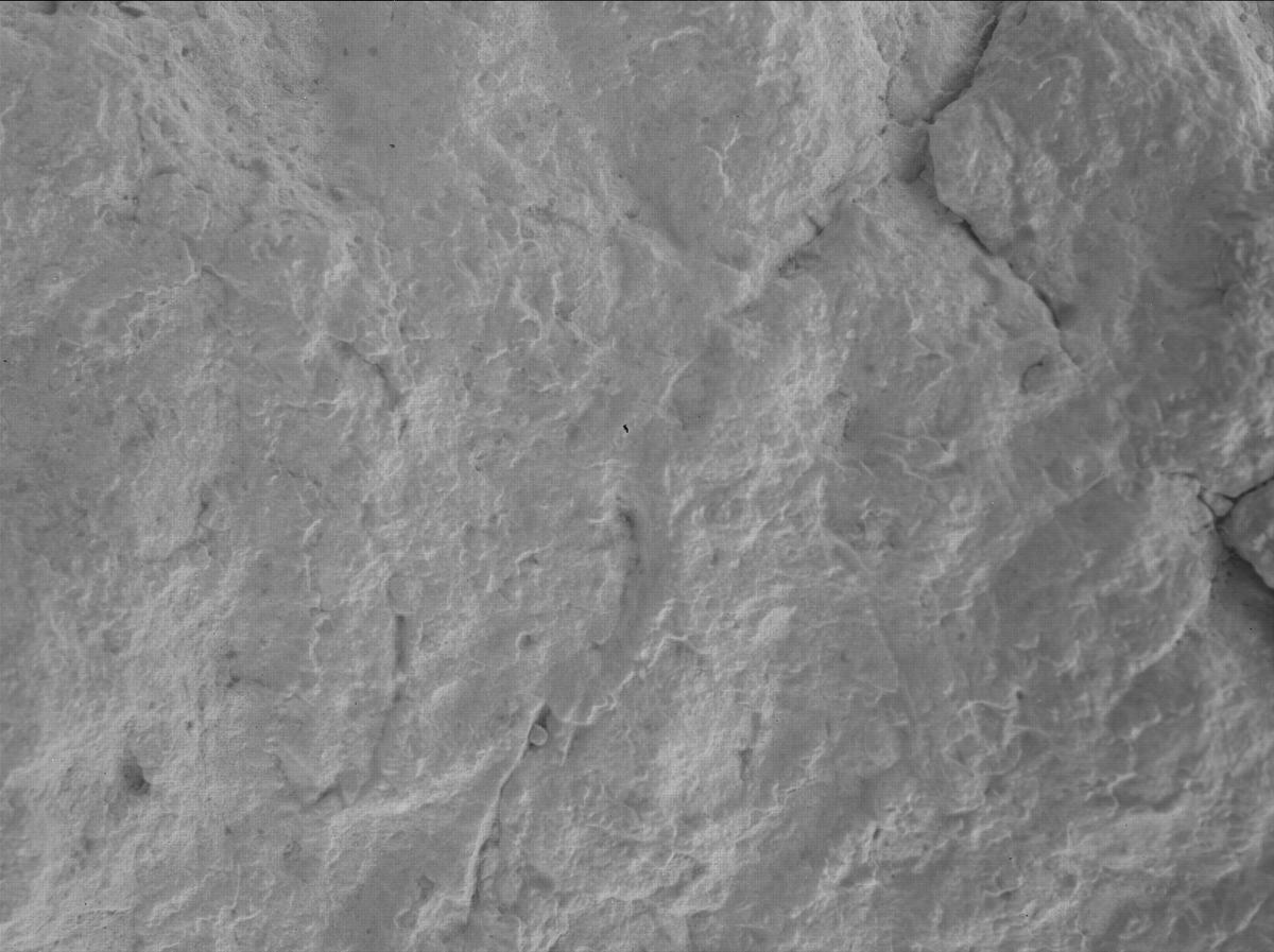 This image was taken by SHERLOC_WATSON onboard NASA's Mars rover Perseverance on Sol 1565