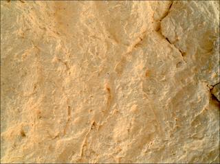 View image taken on Mars, Mars Perseverance Sol 1565: WATSON Camera 