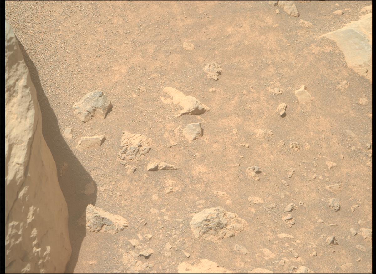 This image was taken by MCZ_RIGHT onboard NASA's Mars rover Perseverance on Sol 1565