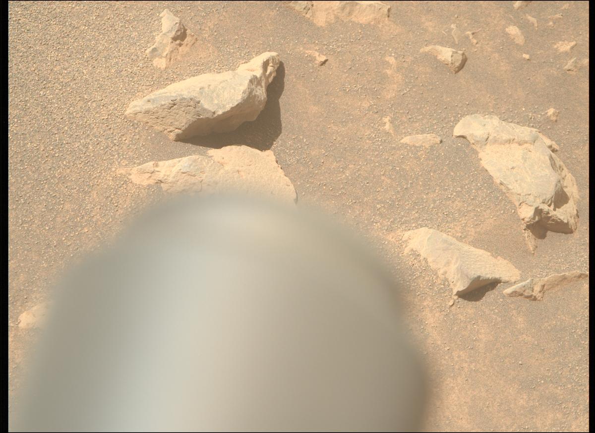 This image was taken by MCZ_RIGHT onboard NASA's Mars rover Perseverance on Sol 1565