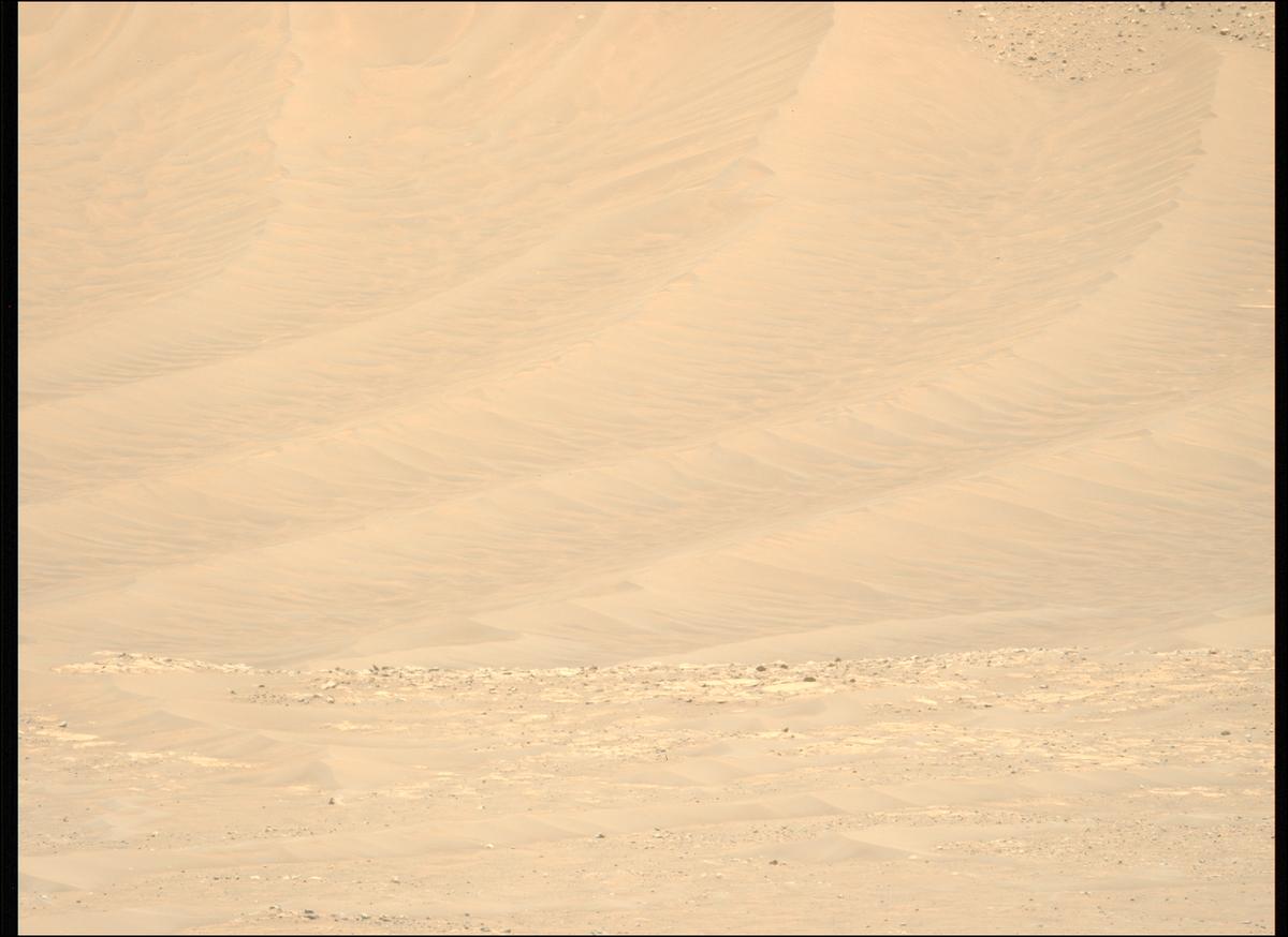 This image was taken by MCZ_LEFT onboard NASA's Mars rover Perseverance on Sol 1566