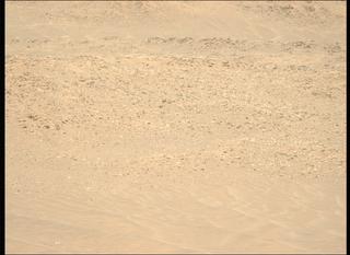 View image taken on Mars, Mars Perseverance Sol 1566: Left Mastcam-Z Camera