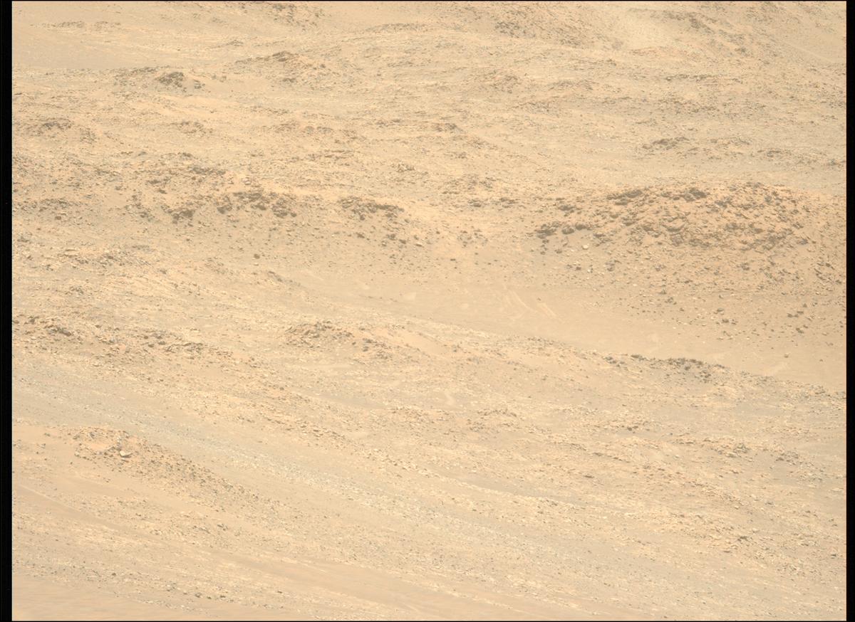 This image was taken by MCZ_LEFT onboard NASA's Mars rover Perseverance on Sol 1566