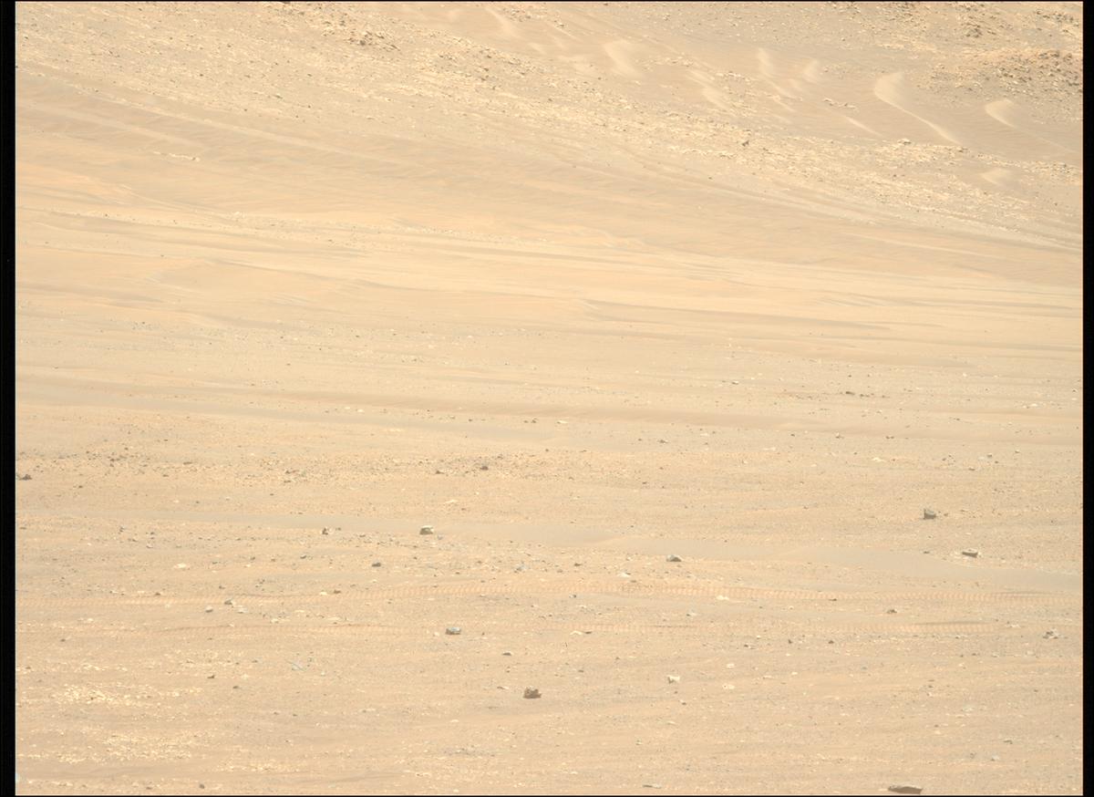 This image was taken by MCZ_LEFT onboard NASA's Mars rover Perseverance on Sol 1566