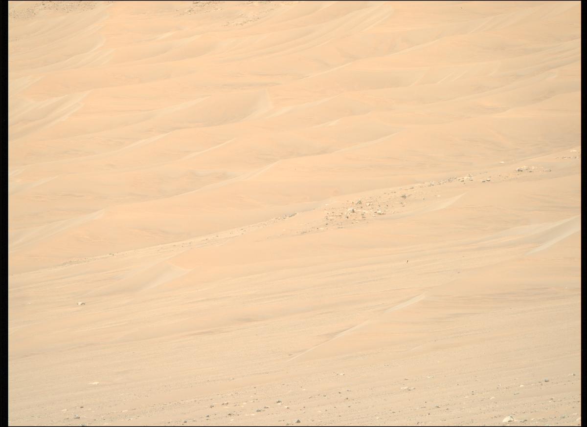 This image was taken by MCZ_RIGHT onboard NASA's Mars rover Perseverance on Sol 1566