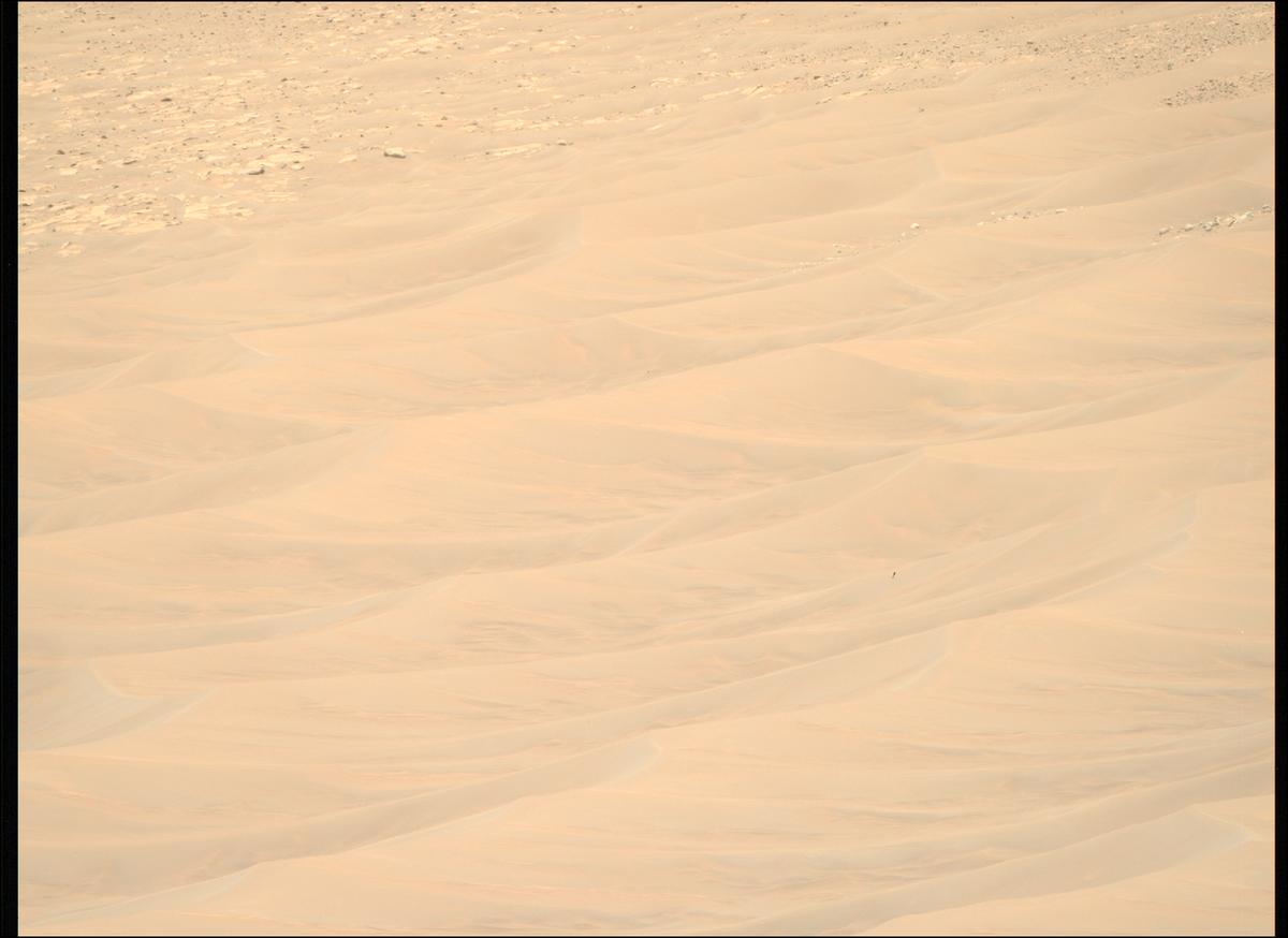 This image was taken by MCZ_RIGHT onboard NASA's Mars rover Perseverance on Sol 1566