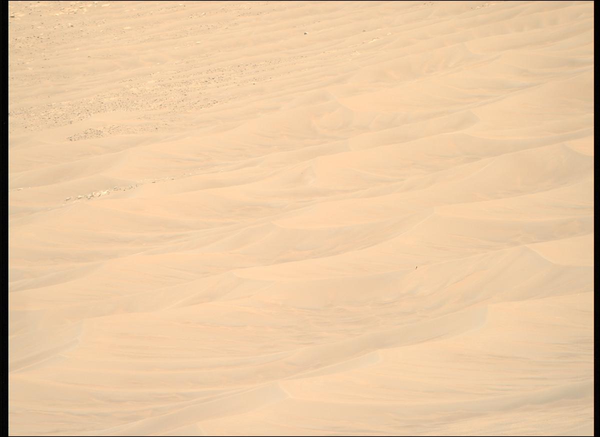 This image was taken by MCZ_RIGHT onboard NASA's Mars rover Perseverance on Sol 1566