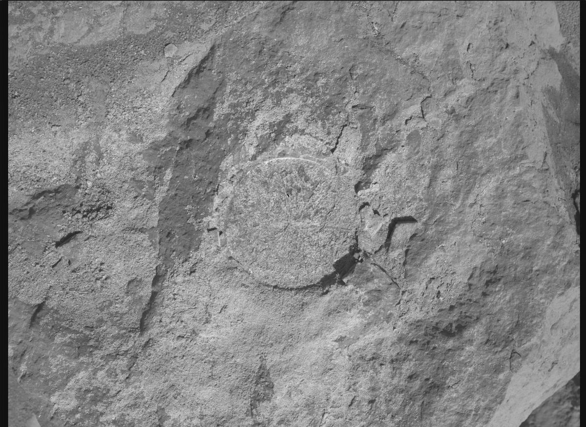 This image was taken by SHERLOC_WATSON onboard NASA's Mars rover Perseverance on Sol 1567