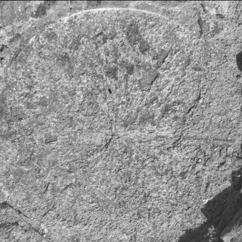 This image was taken by SHERLOC_WATSON onboard NASA's Mars rover Perseverance on Sol 1567