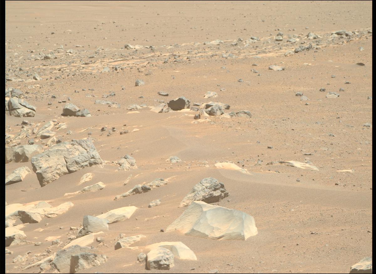 This image was taken by MCZ_RIGHT onboard NASA's Mars rover Perseverance on Sol 1567