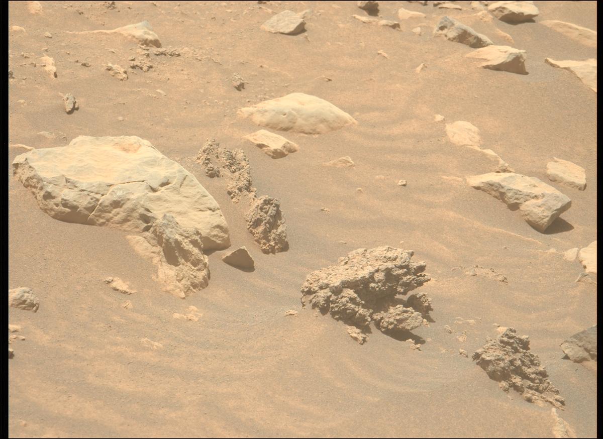 This image was taken by MCZ_LEFT onboard NASA's Mars rover Perseverance on Sol 1568