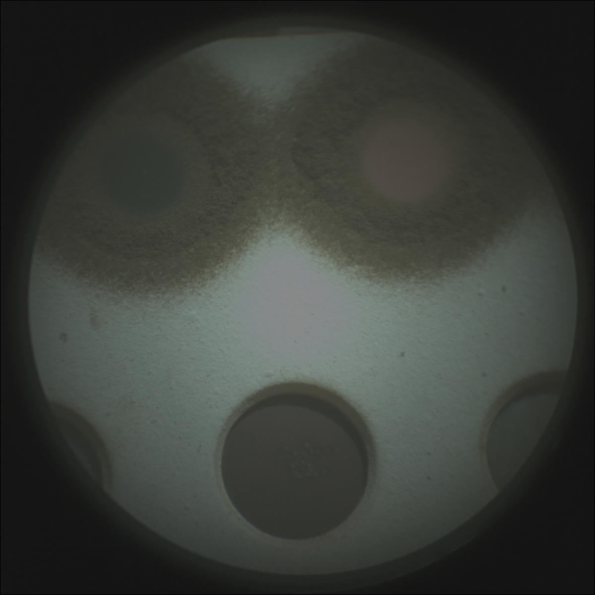 This image was taken by SUPERCAM_RMI onboard NASA's Mars rover Perseverance on Sol 1569