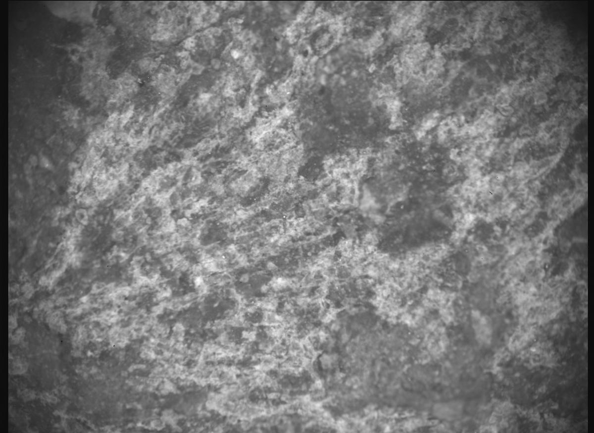 This image was taken by SHERLOC_ACI onboard NASA's Mars rover Perseverance on Sol 1569