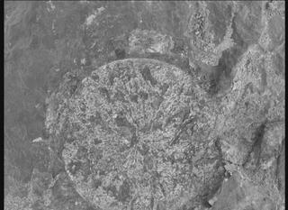 View image taken on Mars, Mars Perseverance Sol 1569: WATSON Camera 