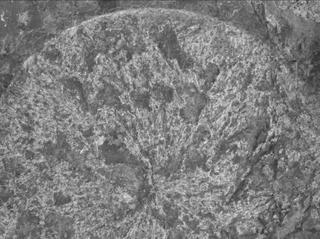 View image taken on Mars, Mars Perseverance Sol 1569: WATSON Camera 