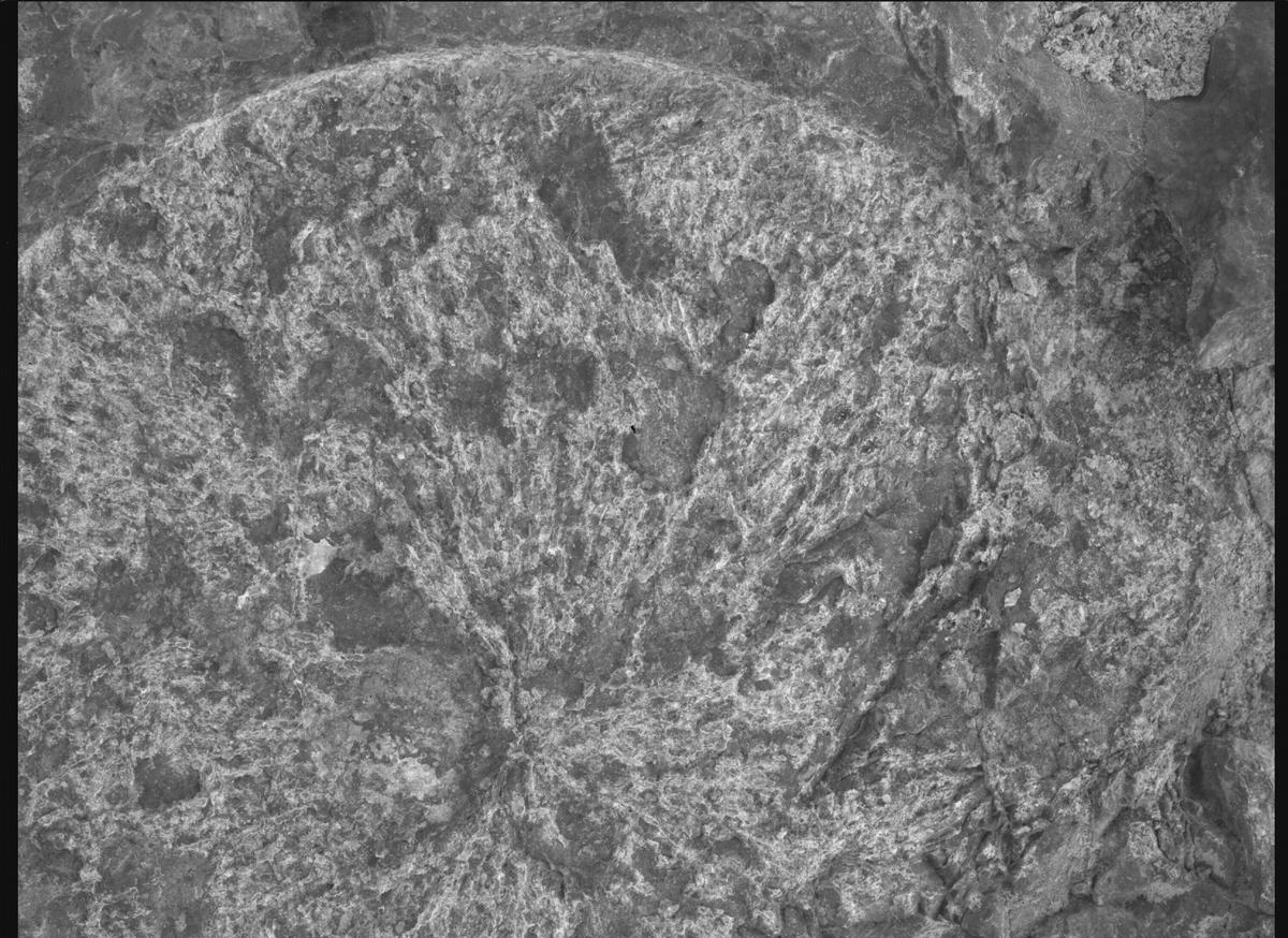 This image was taken by SHERLOC_WATSON onboard NASA's Mars rover Perseverance on Sol 1569