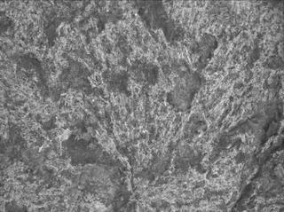 View image taken on Mars, Mars Perseverance Sol 1569: WATSON Camera 