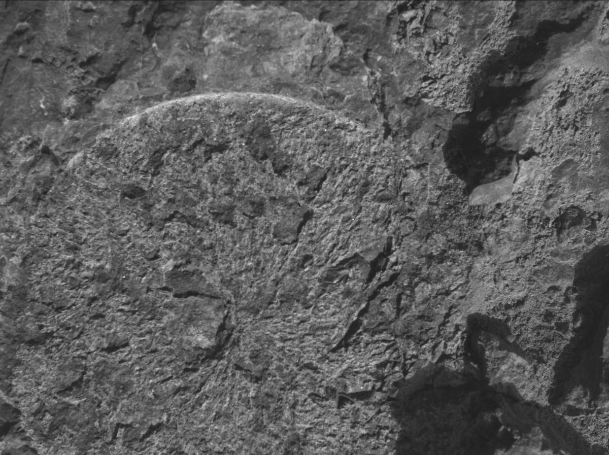 This image was taken by SHERLOC_WATSON onboard NASA's Mars rover Perseverance on Sol 1569