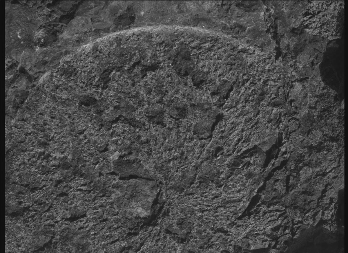 This image was taken by SHERLOC_WATSON onboard NASA's Mars rover Perseverance on Sol 1569