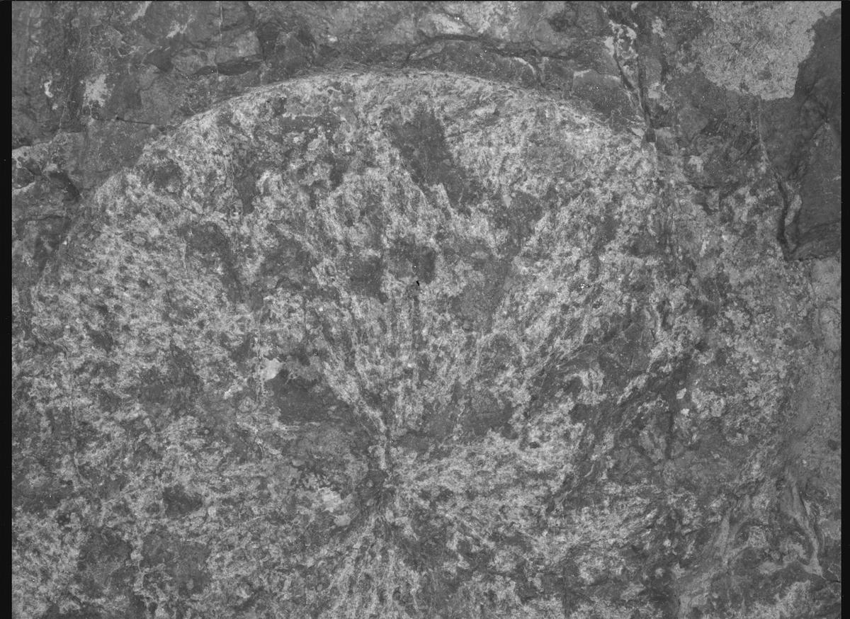 This image was taken by SHERLOC_WATSON onboard NASA's Mars rover Perseverance on Sol 1569