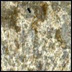 View image taken on Mars, Mars Perseverance Sol 1569: WATSON Camera 