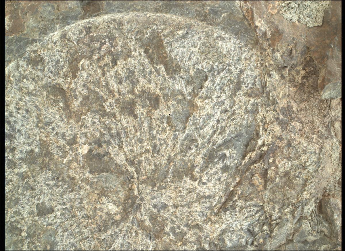 This image was taken by SHERLOC_WATSON onboard NASA's Mars rover Perseverance on Sol 1569