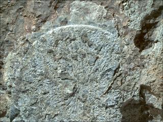 View image taken on Mars, Mars Perseverance Sol 1569: WATSON Camera 