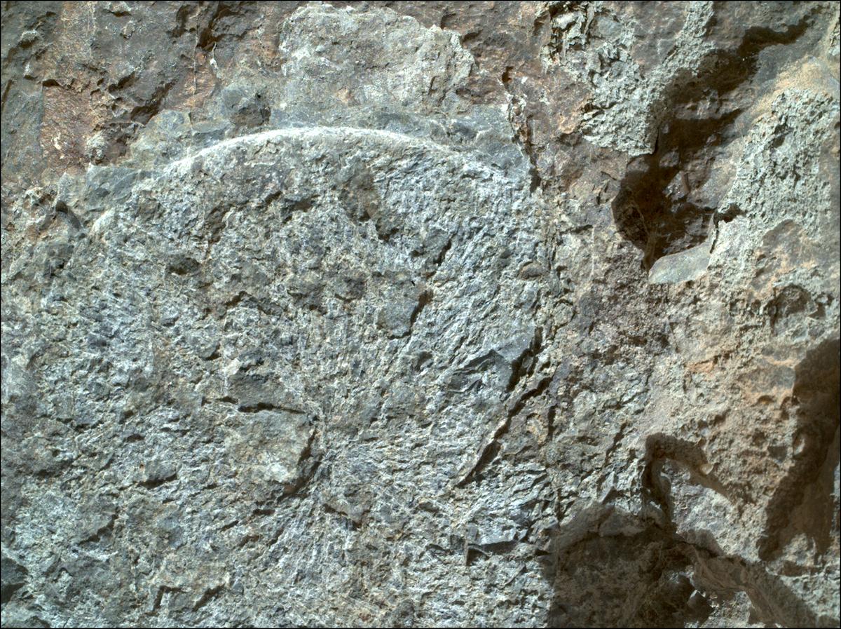 This image was taken by SHERLOC_WATSON onboard NASA's Mars rover Perseverance on Sol 1569