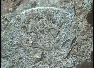 View image taken on Mars, Mars Perseverance Sol 1569: WATSON Camera 