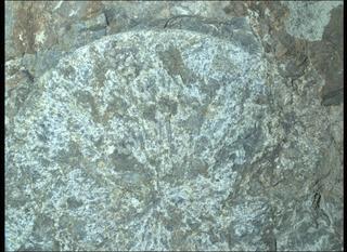 View image taken on Mars, Mars Perseverance Sol 1569: WATSON Camera 