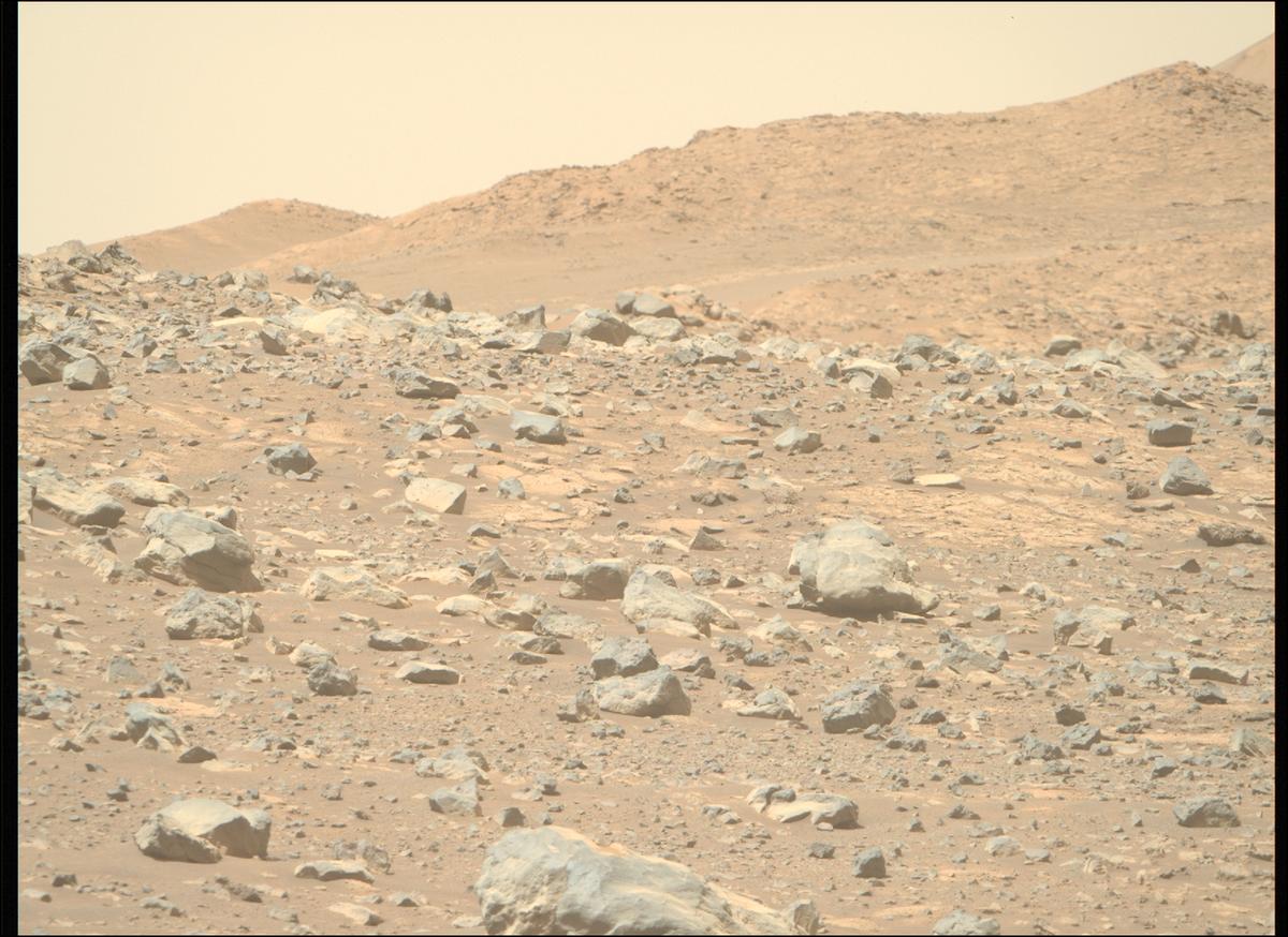 This image was taken by MCZ_RIGHT onboard NASA's Mars rover Perseverance on Sol 1569