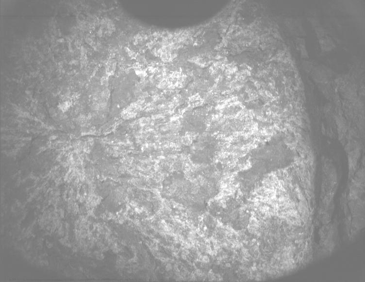 This image was taken by PIXL_MCC onboard NASA's Mars rover Perseverance on Sol 1570