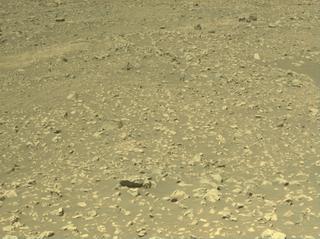 View image taken on Mars, Mars Perseverance Sol 1581: Right Navigation Camera (Navcam)