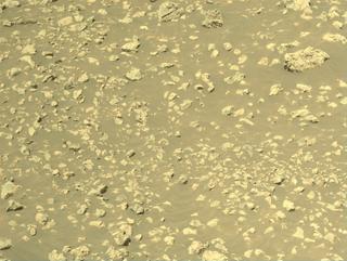 View image taken on Mars, Mars Perseverance Sol 1581: Right Navigation Camera (Navcam)