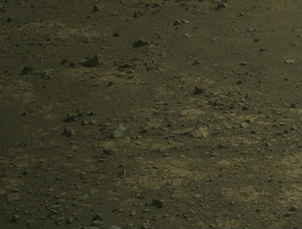 This image was taken by NAVCAM_LEFT onboard NASA's Mars rover Perseverance on Sol 1584