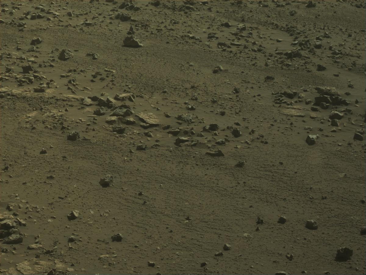 This image was taken by NAVCAM_LEFT onboard NASA's Mars rover Perseverance on Sol 1584