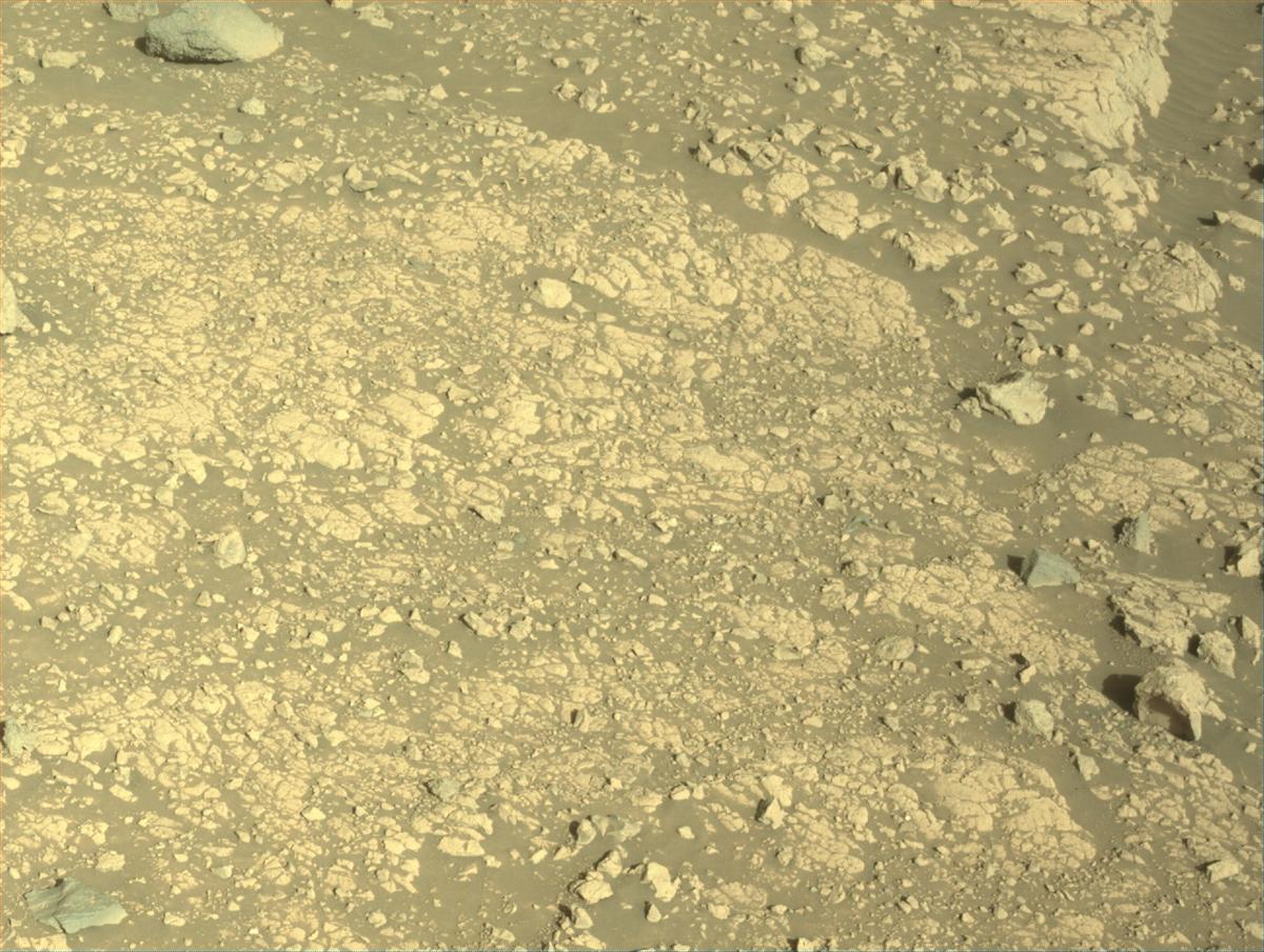 This image was taken by NAVCAM_LEFT onboard NASA's Mars rover Perseverance on Sol 1584